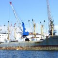 Транспортный рефрижератор "Капитан Кириченко" с рыбопродукцией на 48 причале у холодильника № 2