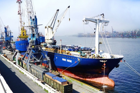 Оборот Владивостокского морского рыбного порта возрастет на треть